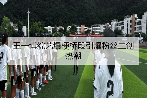 王一博综艺爆梗桥段引爆粉丝二创热潮